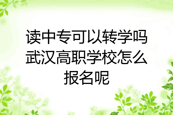 读中专可以转学吗武汉高职学校怎么报名呢