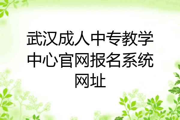 武汉成人中专教学中心官网报名系统网址