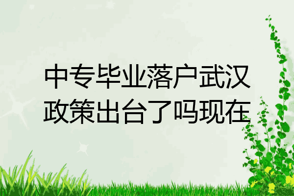 中专毕业落户武汉政策出台了吗现在