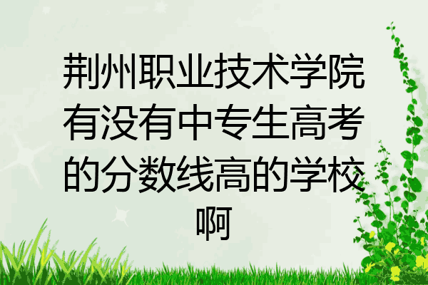 荆州职业技术学院有没有中专生高考的分数线高的学校啊
