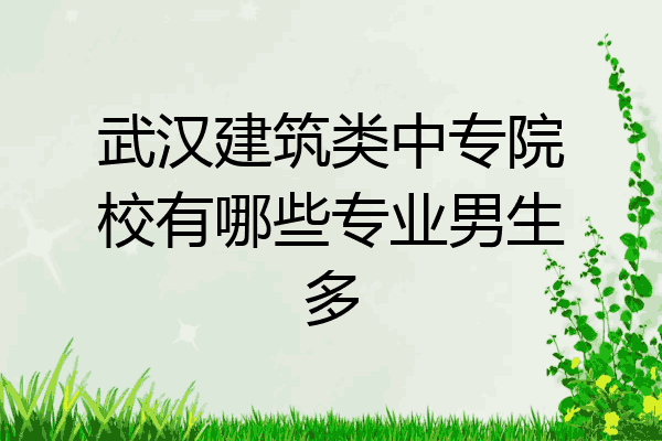 武汉建筑类中专院校有哪些专业男生多