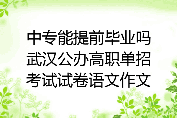 中专能提前毕业吗武汉公办高职单招考试试卷语文作文