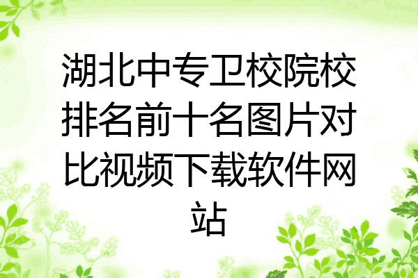 湖北中专卫校院校排名前十名图片对比视频下载软件网站