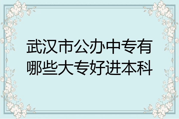 武汉市公办中专有哪些大专好进本科