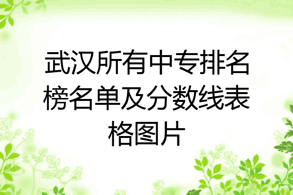 武汉所有中专排名榜名单及分数线表格图片