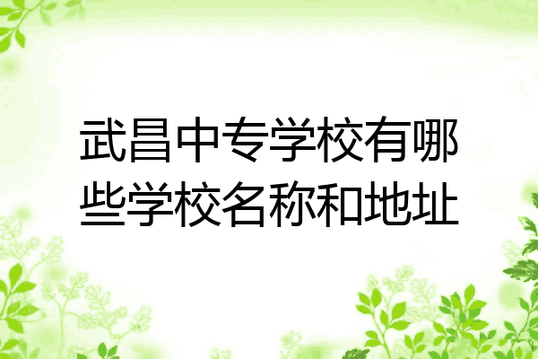武昌中专学校有哪些学校名称和地址