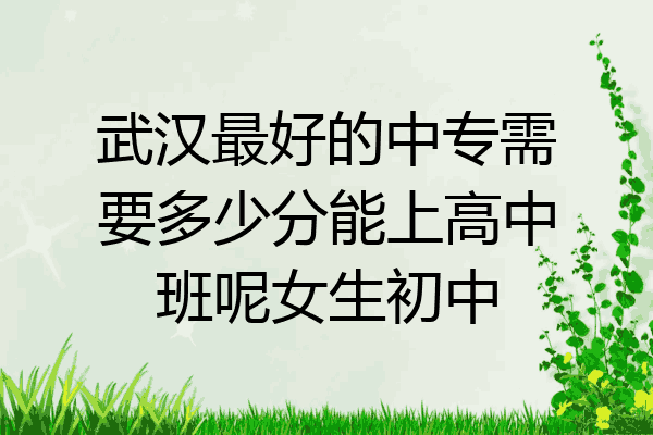 武汉最好的中专需要多少分能上高中班呢女生初中