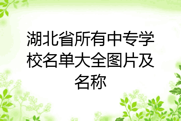 湖北省所有中专学校名单大全图片及名称