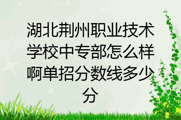 湖北荆州职业技术学校中专部怎么样啊单招分数线多少分