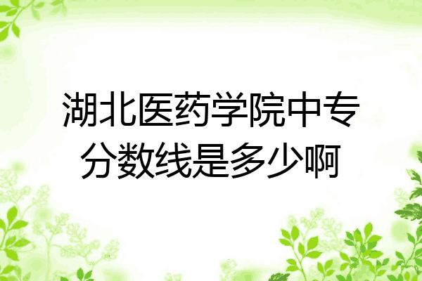 湖北医药学院中专分数线是多少啊