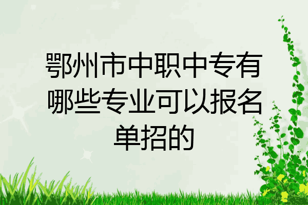 鄂州市中职中专有哪些专业可以报名单招的