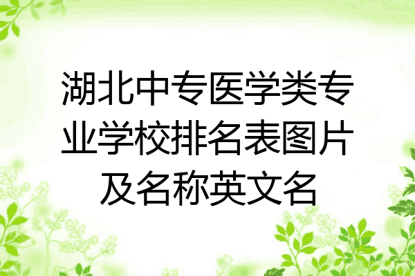 湖北中专医学类专业学校排名表图片及名称英文名