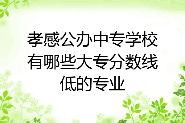 孝感公办中专学校有哪些大专分数线低的专业