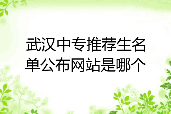 武汉中专推荐生名单公布网站是哪个
