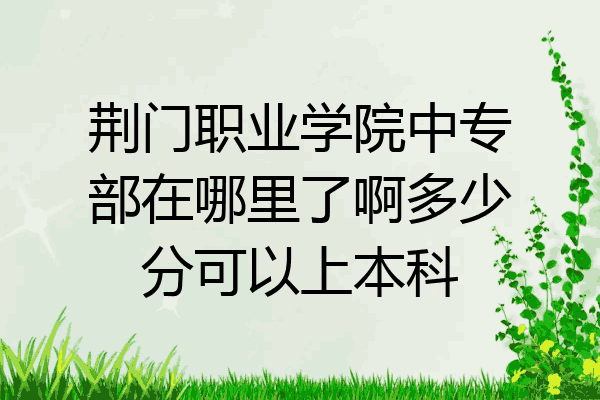 荆门职业学院中专部在哪里了啊多少分可以上本科