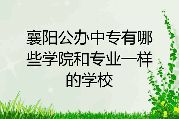 襄阳公办中专有哪些学院和专业一样的学校
