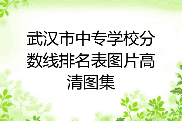 武汉市中专学校分数线排名表图片高清图集