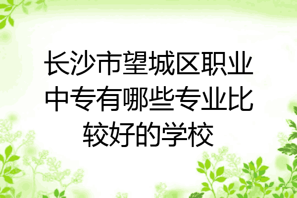 长沙市望城区职业中专有哪些专业比较好的学校