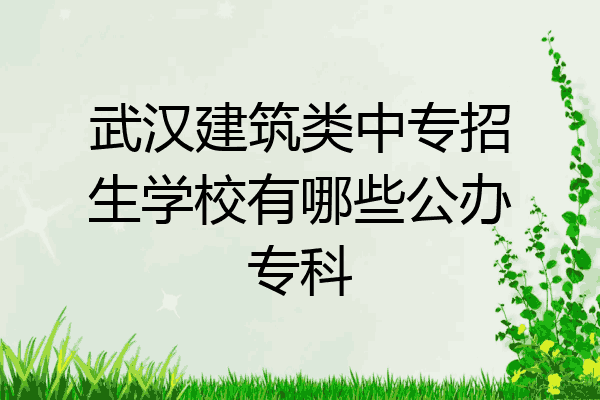 武汉建筑类中专招生学校有哪些公办专科