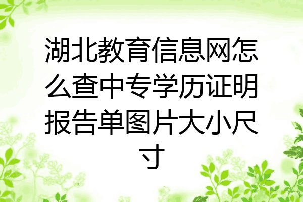 湖北教育信息网怎么查中专学历证明报告单图片大小尺寸