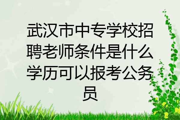 武汉市中专学校招聘老师条件是什么学历可以报考公务员
