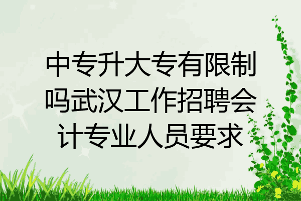 中专升大专有限制吗武汉工作招聘会计专业人员要求