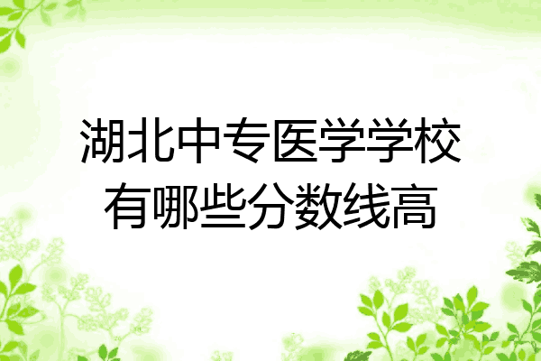 湖北中专医学学校有哪些分数线高