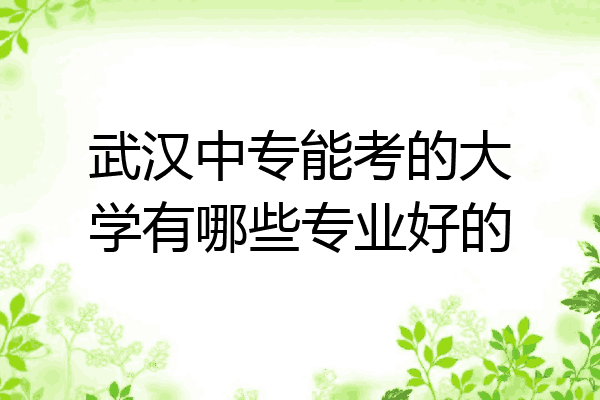 武汉中专能考的大学有哪些专业好的