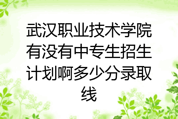 武汉职业技术学院有没有中专生招生计划啊多少分录取线