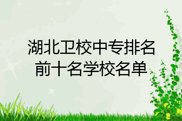 湖北卫校中专排名前十名学校名单