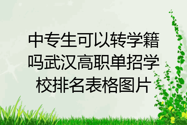 中专生可以转学籍吗武汉高职单招学校排名表格图片
