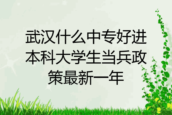 武汉什么中专好进本科大学生当兵政策最新一年