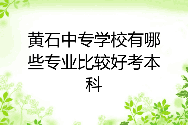 黄石中专学校有哪些专业比较好考本科
