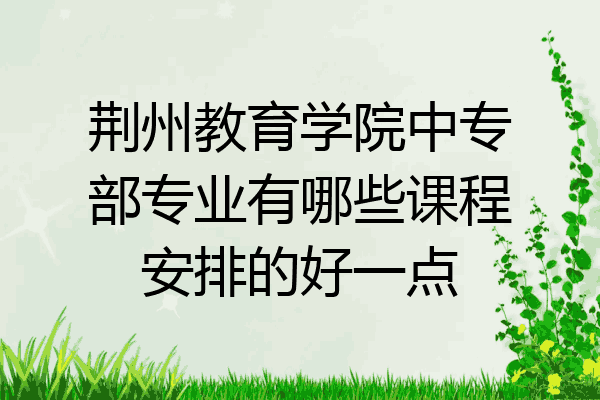 荆州教育学院中专部专业有哪些课程安排的好一点