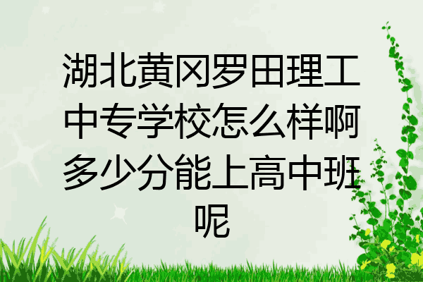 湖北黄冈罗田理工中专学校怎么样啊多少分能上高中班呢