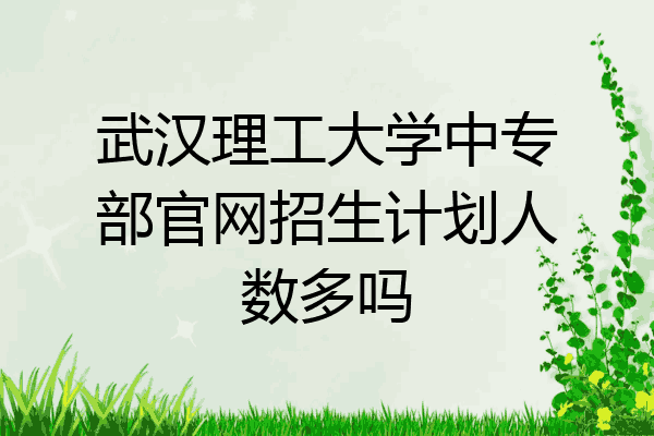 武汉理工大学中专部官网招生计划人数多吗