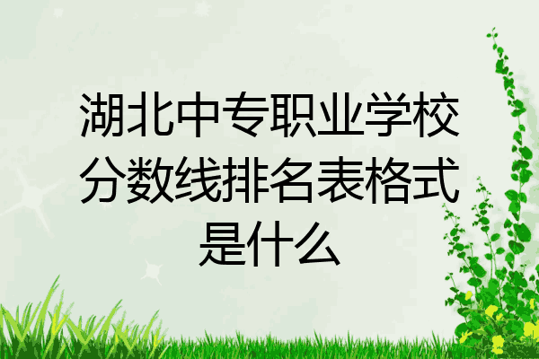 湖北中专职业学校分数线排名表格式是什么