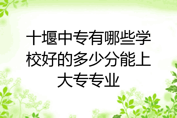 十堰中专有哪些学校好的多少分能上大专专业