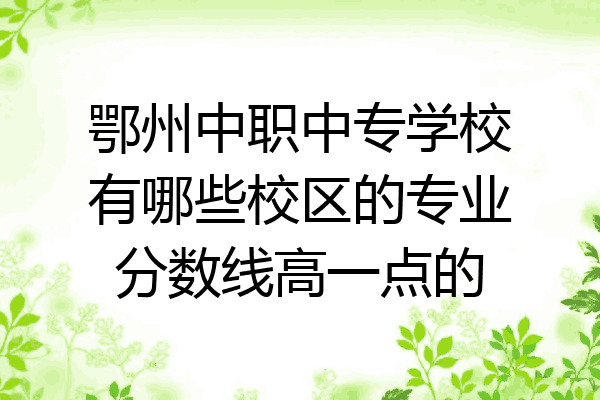 鄂州中职中专学校有哪些校区的专业分数线高一点的