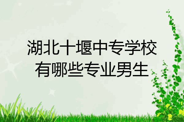 湖北十堰中专学校有哪些专业男生
