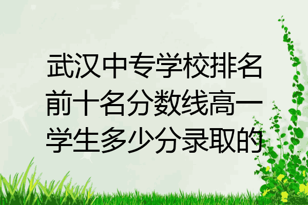 武汉中专学校排名前十名分数线高一学生多少分录取的