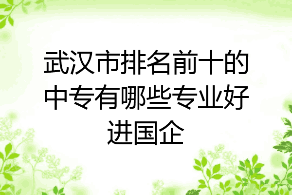 武汉市排名前十的中专有哪些专业好进国企
