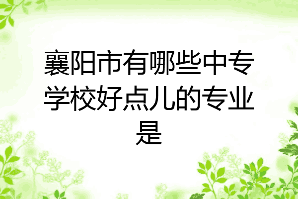 襄阳市有哪些中专学校好点儿的专业是