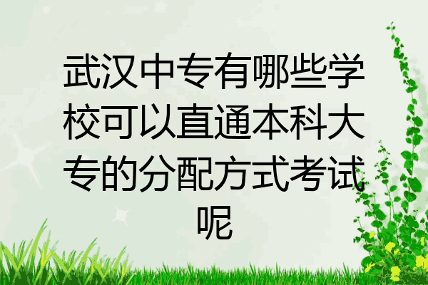 武汉中专有哪些学校可以直通本科大专的分配方式考试呢