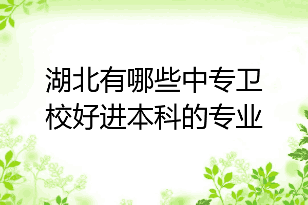 湖北有哪些中专卫校好进本科的专业