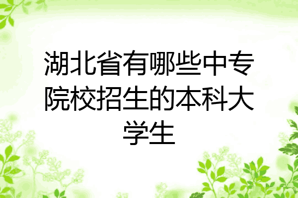 湖北省有哪些中专院校招生的本科大学生