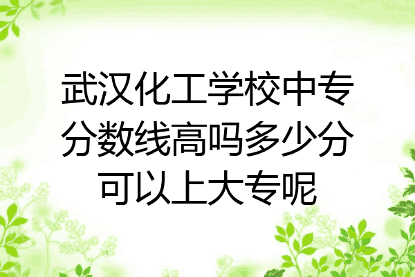 武汉化工学校中专分数线高吗多少分可以上大专呢