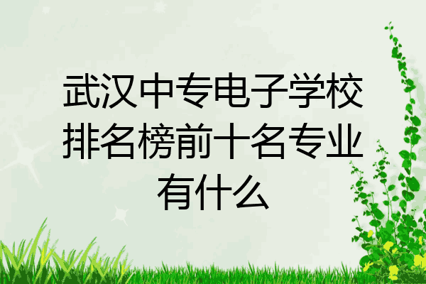 武汉中专电子学校排名榜前十名专业有什么
