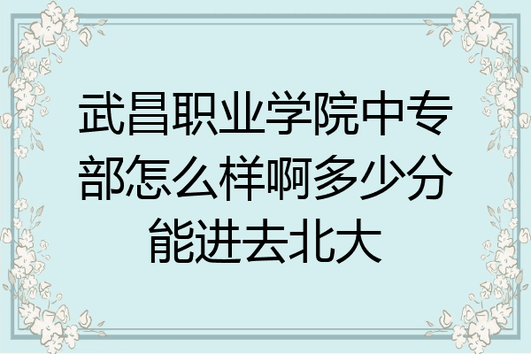 武昌职业学院中专部怎么样啊多少分能进去北大