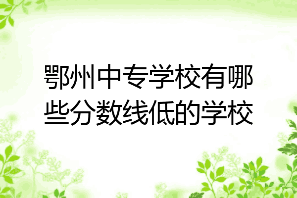 鄂州中专学校有哪些分数线低的学校